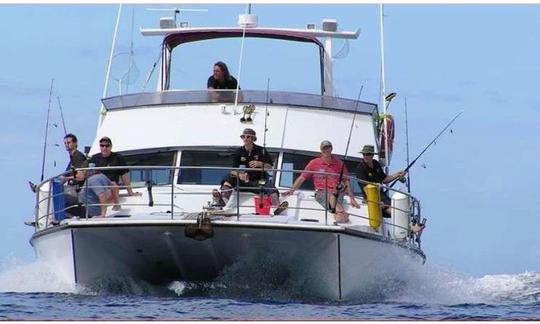 Charters de pesca de 42 minutos en Gulf Harbour, península de Whangaparoa