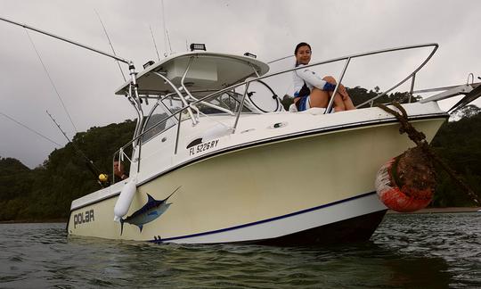 ¡Emocionante aventura de pesca o placer en Herradura, Costa Rica!