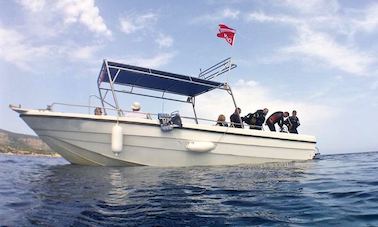 Excursiones de buceo y cursos de pago en Poli Crysochous