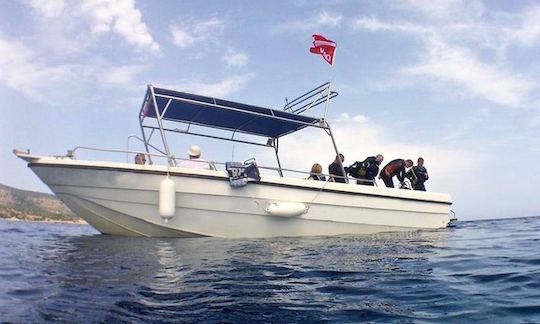 Excursions de plongée et cours de plongée sous-marine à Poli Crysochous