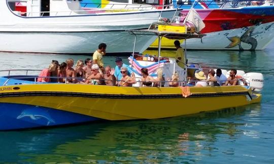 Safari en barco con delfines en Ayia Napa