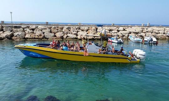 Safari en barco con delfines en Ayia Napa