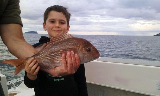 Disfruta de la pesca en Tairua, Nueva Zelanda, en la cabina Strikezone Cuddy de 24 pies