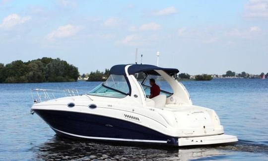 Alugue o automóvel do iate a motor Sea Ray 315 em Suzhou Shi