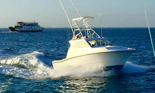 34' Fishing Charter in Isla Mujeres, Mexico