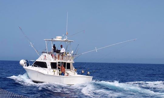 Enjoy Fishing in San Sebastián de La Gomera, Spain on 35' Cabot Sport Fisherman