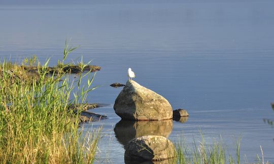 Alquiler de monocasco de crucero en Vänern