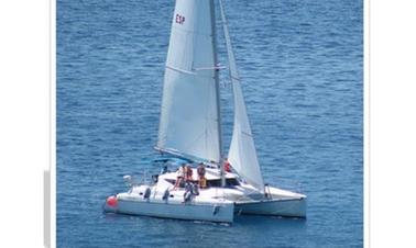 Catamarán navegación vela con avistamiento de cetáceos