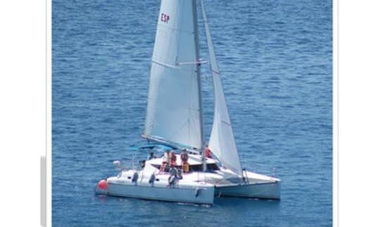 Catamaran sailing with whale watching