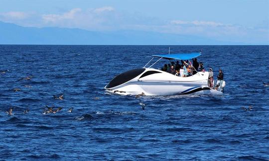 Excursion en bateau à fond de verre à Angra do Heroísmo, Portugal