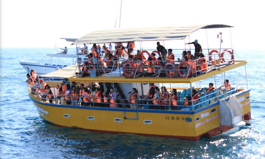 Departs From Mirissa - daily boat tours in Sri Lanka