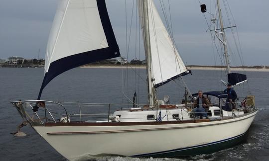 Shamrock returning from offshore sail