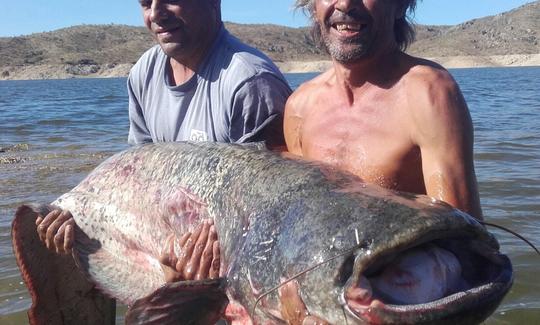 Viaje guiado de pesca en Alumacraft de 14 pies en Alcántara, España