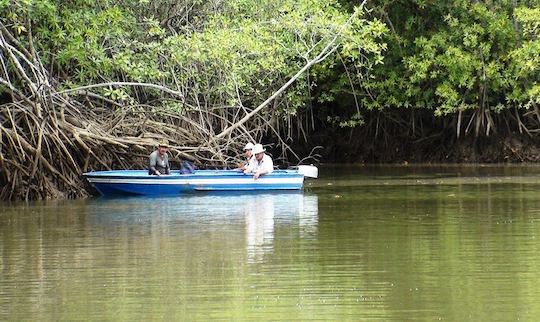 Gran viaje de pesca en Quepos, Costa Rica