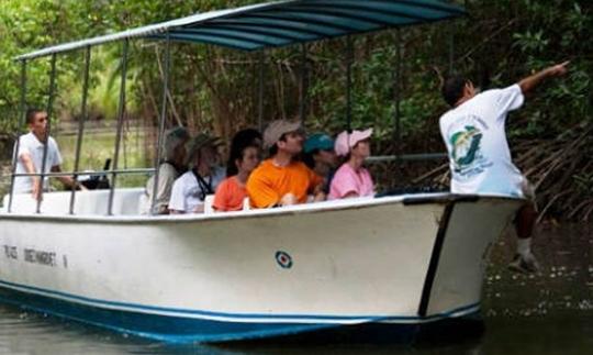 Sea uno con la naturaleza en nuestro recorrido turístico en Quepos, Costa Rica