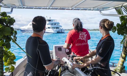 2 plongées en aquarium en bateau privé - Excursion de 4 heures à Bora Bora !