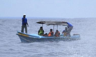 Passeios de barco particulares de 3 horas no Sri Lanka para 6 pessoas!