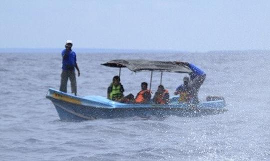 3-Hours Private Boat Rides in Sri Lanka for 6 People!