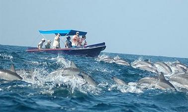 Alugue um bote em Ilanthadiya, Sri Lanka para até 6 pessoas