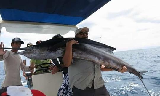 Sail fish by papagayo bay