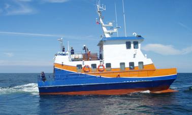 Viagens de pesca em Kołobrzeg, Polônia no Globetrotter Power Catamaran