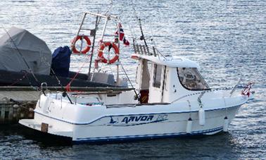 Barco de pesca de 20 pies para alquilar en Noruega