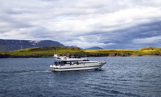 Alugue um iate a motor Cantieri di Pisa para 35 pessoas em Reykjavík, Islândia