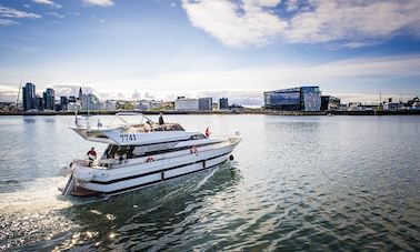 Charter a 35 Person Cantieri di Pisa Motor Yacht in Reykjavík, Iceland