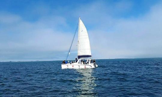 2010 Scape Catamaran Yacht In Namibia