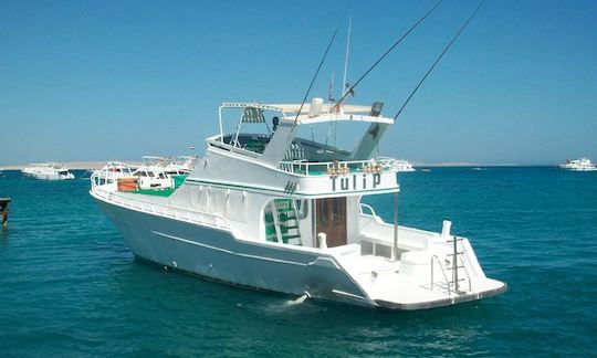 Profitez de la pêche dans le gouvernorat de la mer Rouge, en Égypte, sur 68' Sport Fisherman