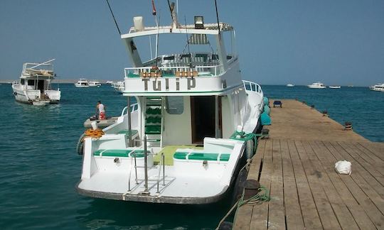 Profitez de la pêche dans le gouvernorat de la mer Rouge, en Égypte, sur 68' Sport Fisherman