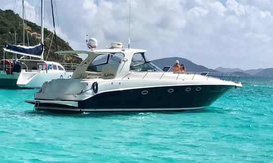 Sea Ray 460 Sundancer Motor Yacht Rental in USVI / BVI