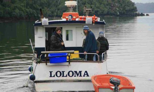 Profitez de la pêche sur l'île Stewart, en Nouvelle-Zélande, sur un chalutier