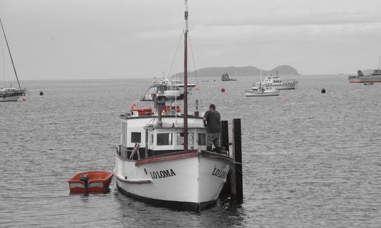 Profitez de la pêche sur l'île Stewart, en Nouvelle-Zélande, sur un chalutier