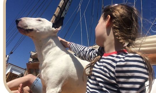 Serviço histórico de 98' Schooner Hoppet 1926 com tudo incluído nas Ilhas do Mar Báltico