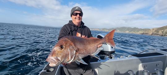 Descubra suas habilidades de pesca, vá pescar em Paihia, Nova Zelândia