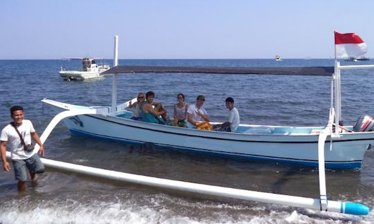 Wonderful Dolphin Tour in Kecamatan Buleleng, Bali