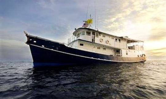 Liveaboard Diving Charters on