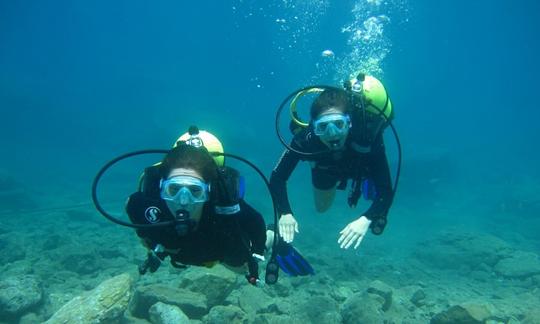 Profitez de la plongée sous-marine à Aydın, en Turquie