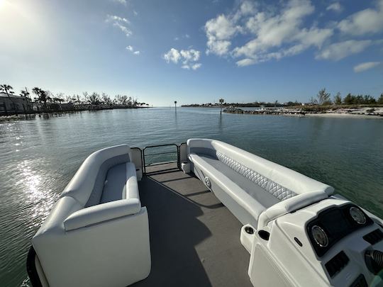 23ft Pontoon Boat with 115 Suzuki Hp engine in Nokomis