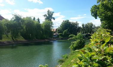 Ljubljana Marshes Adventure, Slovenia