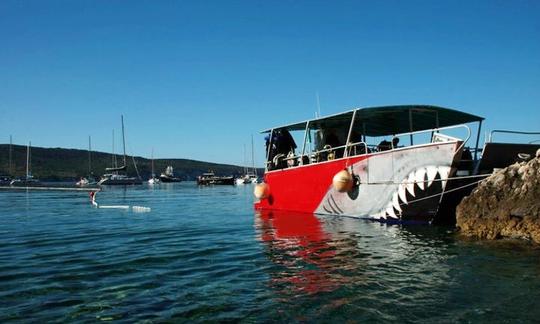 Excursions et cours de plongée en catamaran Shark à Komiža