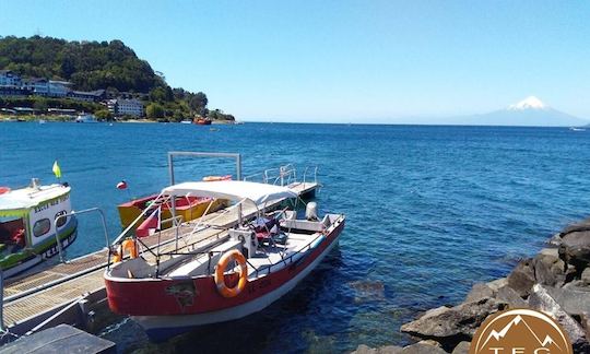 Disfrute de la pesca en Puerto Varas, Chile, en la consola central de 25 pies