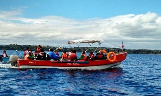 Disfrute de la pesca en Puerto Varas, Chile, en la consola central de 25 pies