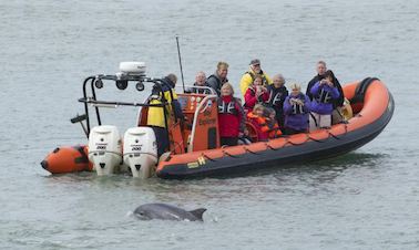 Charter a Rigid Inflatable Boat in Wales, United Kingdom