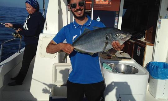 Desfrute da pesca em La Oliva, Espanha, no catamarã Barracuda Power de 39 pés