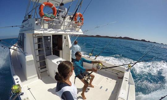 Desfrute da pesca em La Oliva, Espanha, no catamarã Barracuda Power de 39 pés