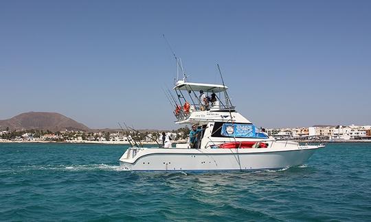 Desfrute da pesca em La Oliva, Espanha, no catamarã Barracuda Power de 39 pés