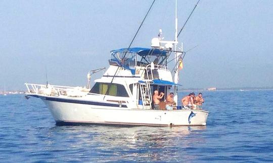 Alquiler de pesca en un yate de aluminio Striker «Sail Fish» de 44 pies en Castelló d'Empúries, España