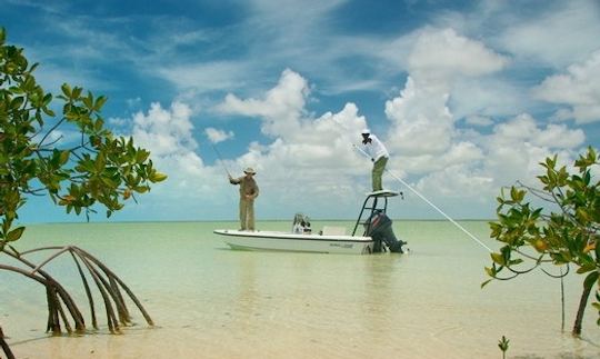 Enjoy Fishing in south Andros and mangrove The Bahamas with fishing guides  bonefish Doug. Tour guid of west side or snorkeling